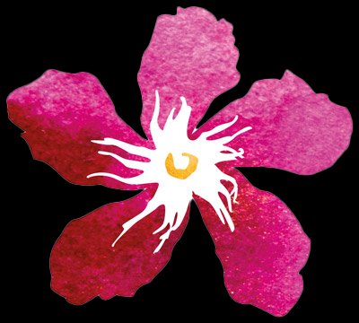 Logo: rosa Blüte