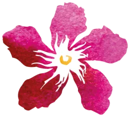 Logo der Praxis Carolin Grundler — rosa Blüte